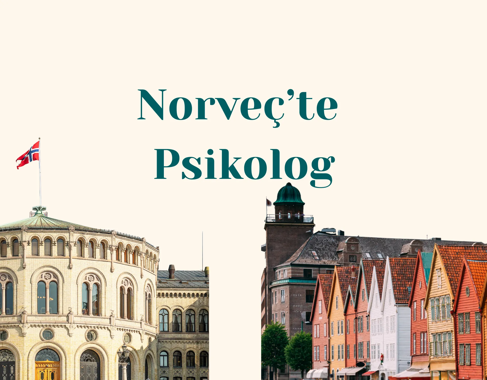 Norveç Türk Psikolog ve Online Danışmanlık Rehberi