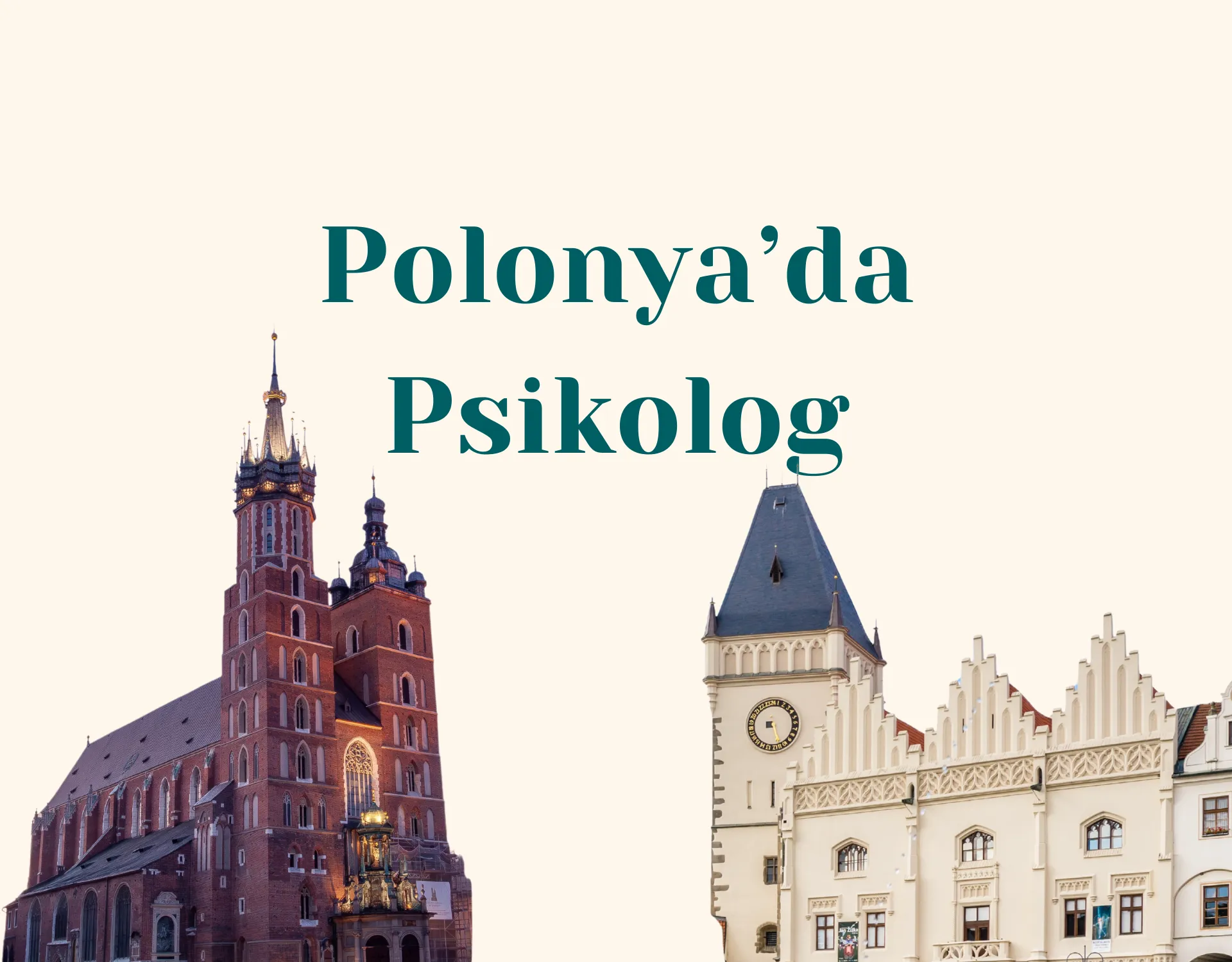 Polonya Türk Psikolog ve Online Danışmanlık Rehberi