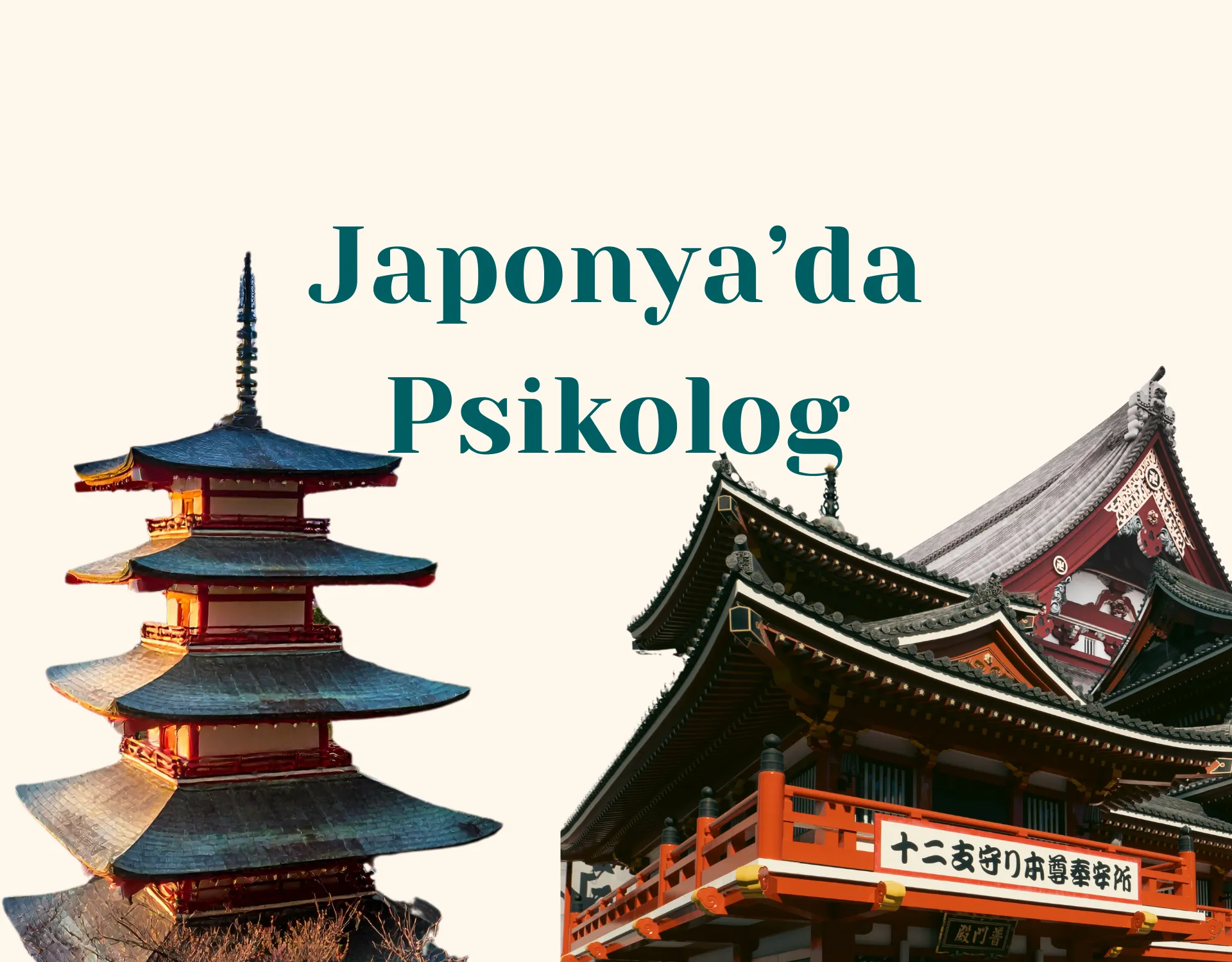 Japonya Türk Psikolog ve Online Danışmanlık Rehberi