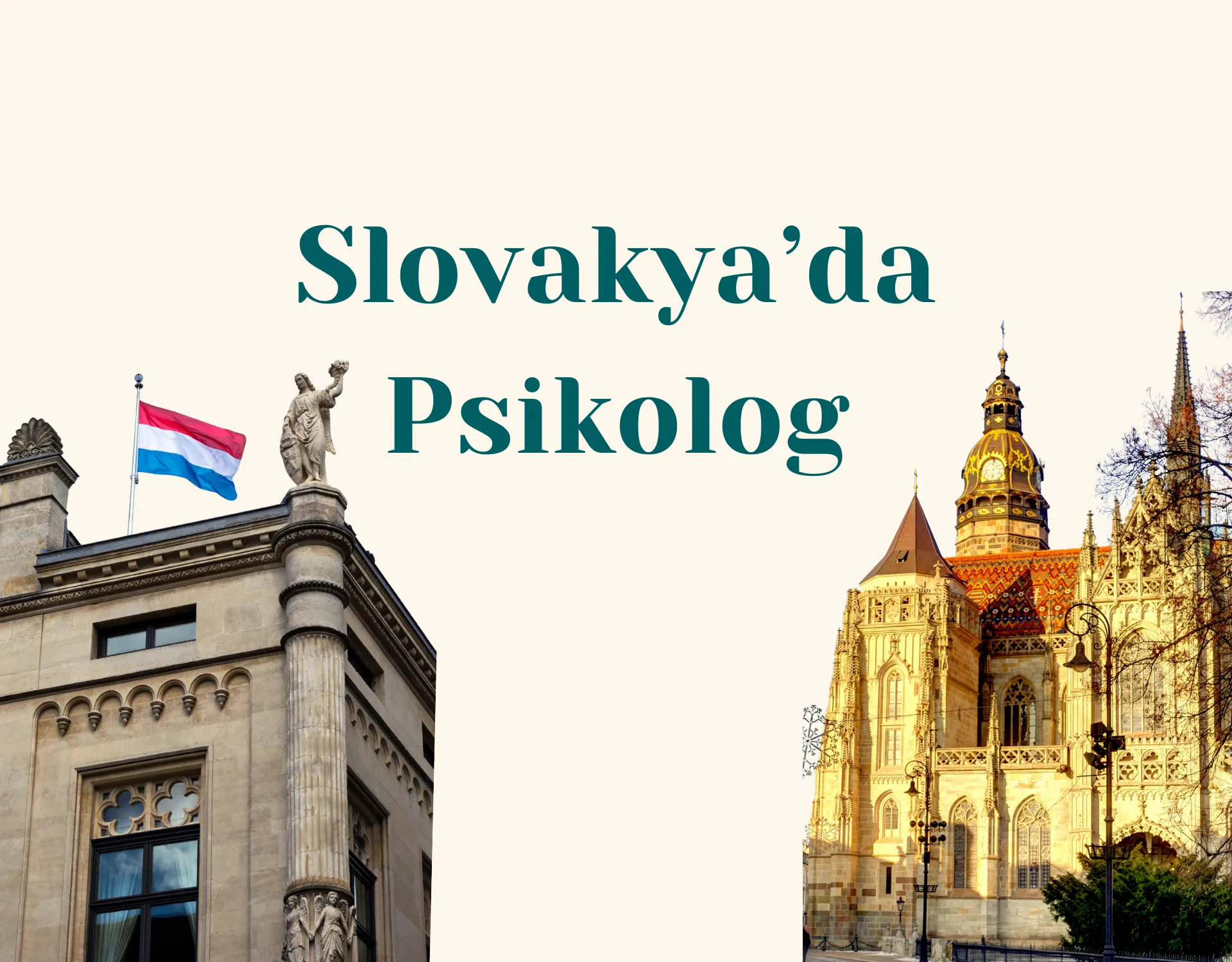 Slovakya Türk Psikolog ve Online Danışmanlık Rehberi