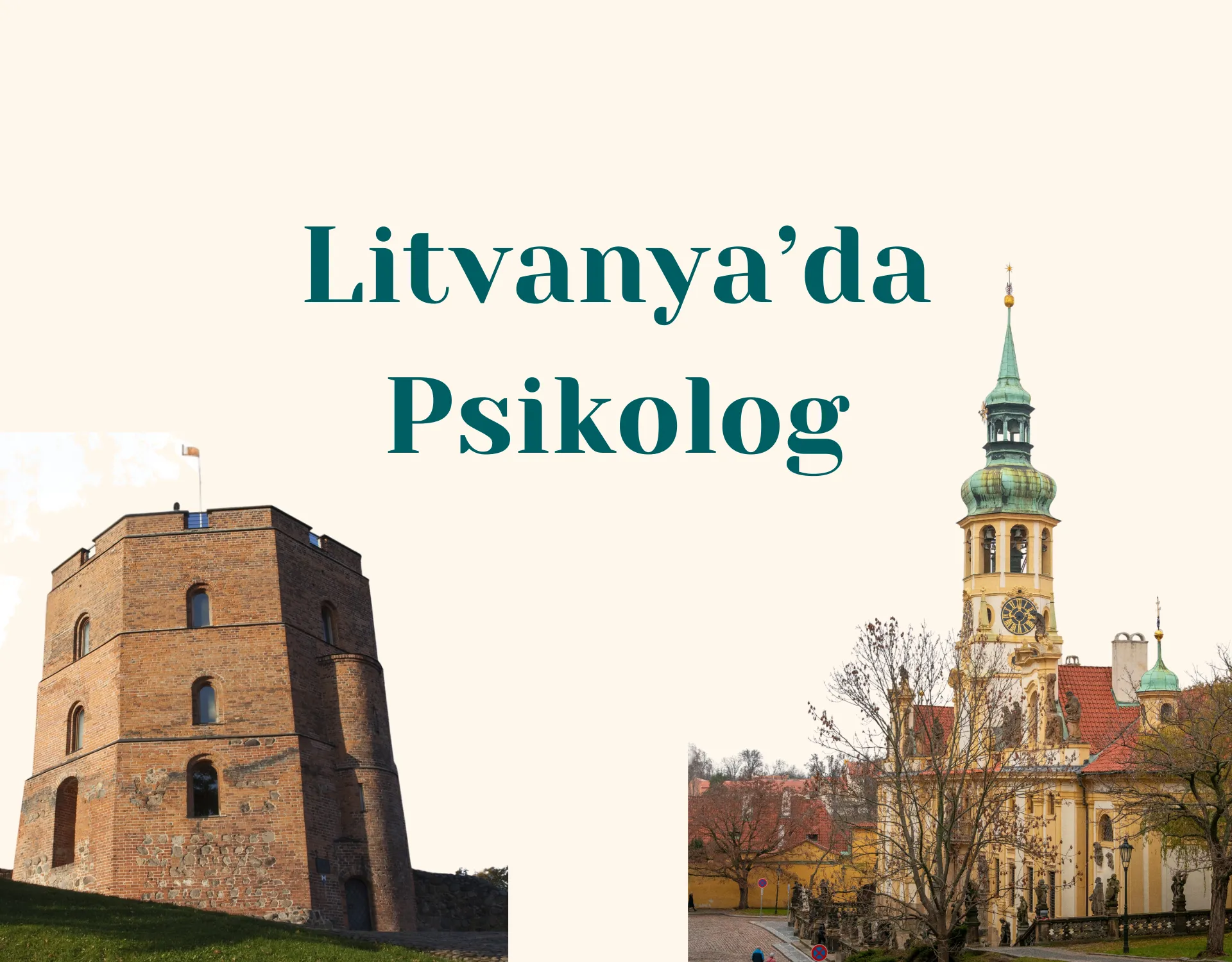 Litvanya Türk Psikolog ve Online Danışmanlık Rehberi